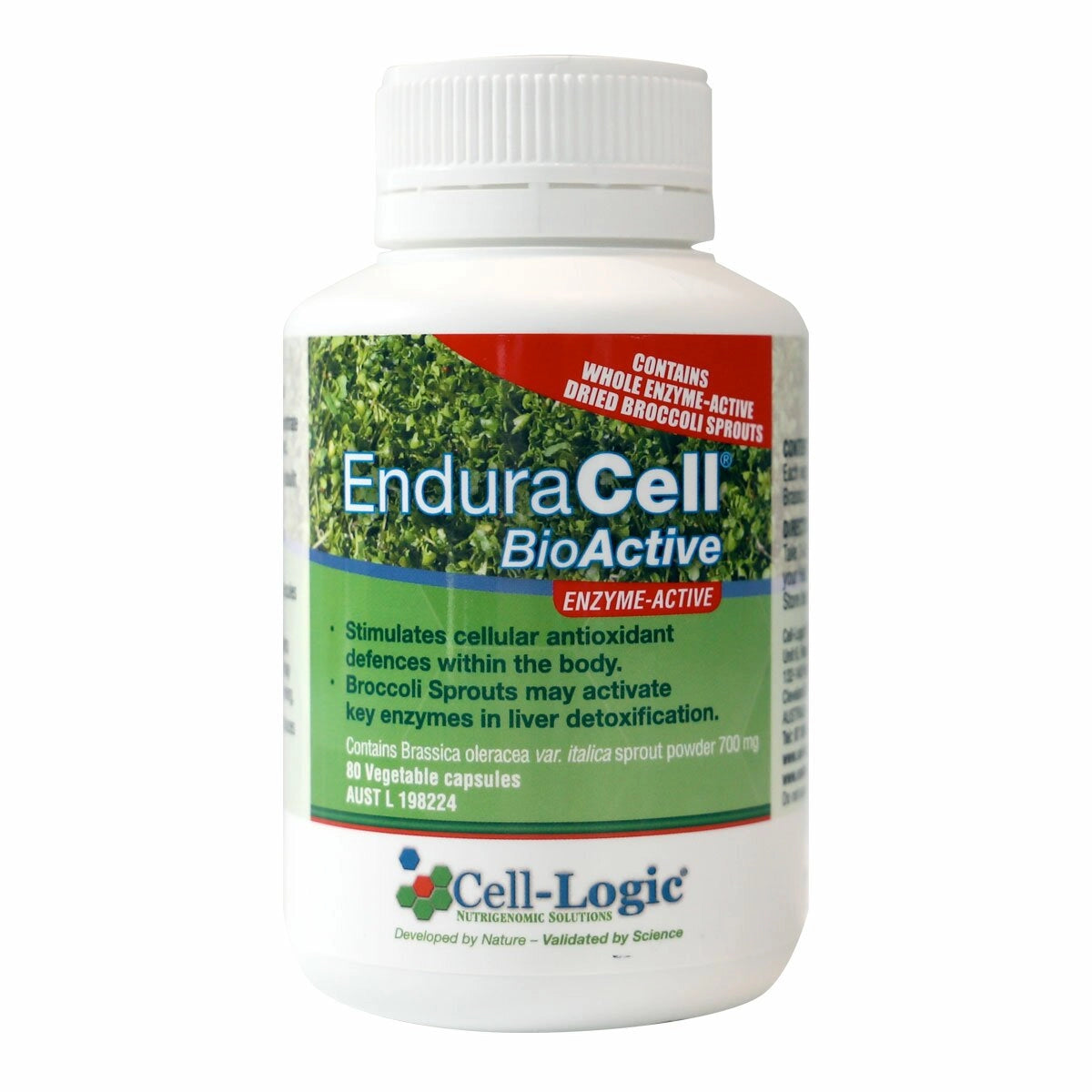 ENDURACELL BIOACTIVE (BROCCOLI SPROUT)