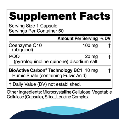 CELLCORE BIOSCIENCES MITOACTIVE
